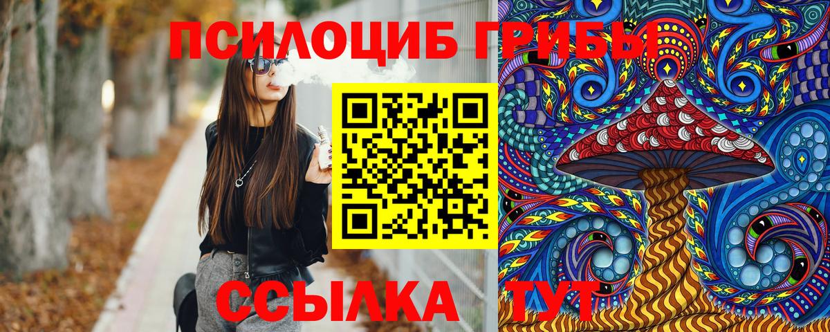 Галлюциногенные грибы Psilocybine cubensis Волжск